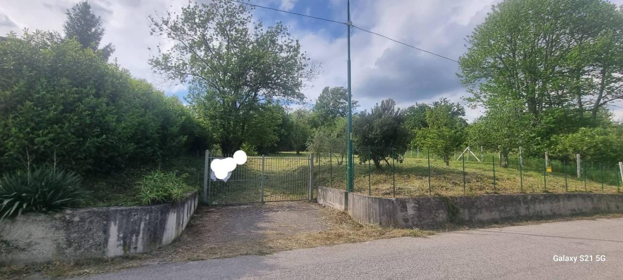 immagine annuncio 2 di 12