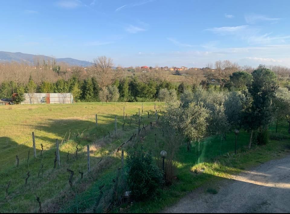 immagine annuncio 3 di 8