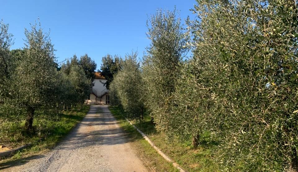 immagine annuncio 5 di 8