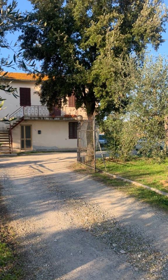 immagine annuncio 4 di 8