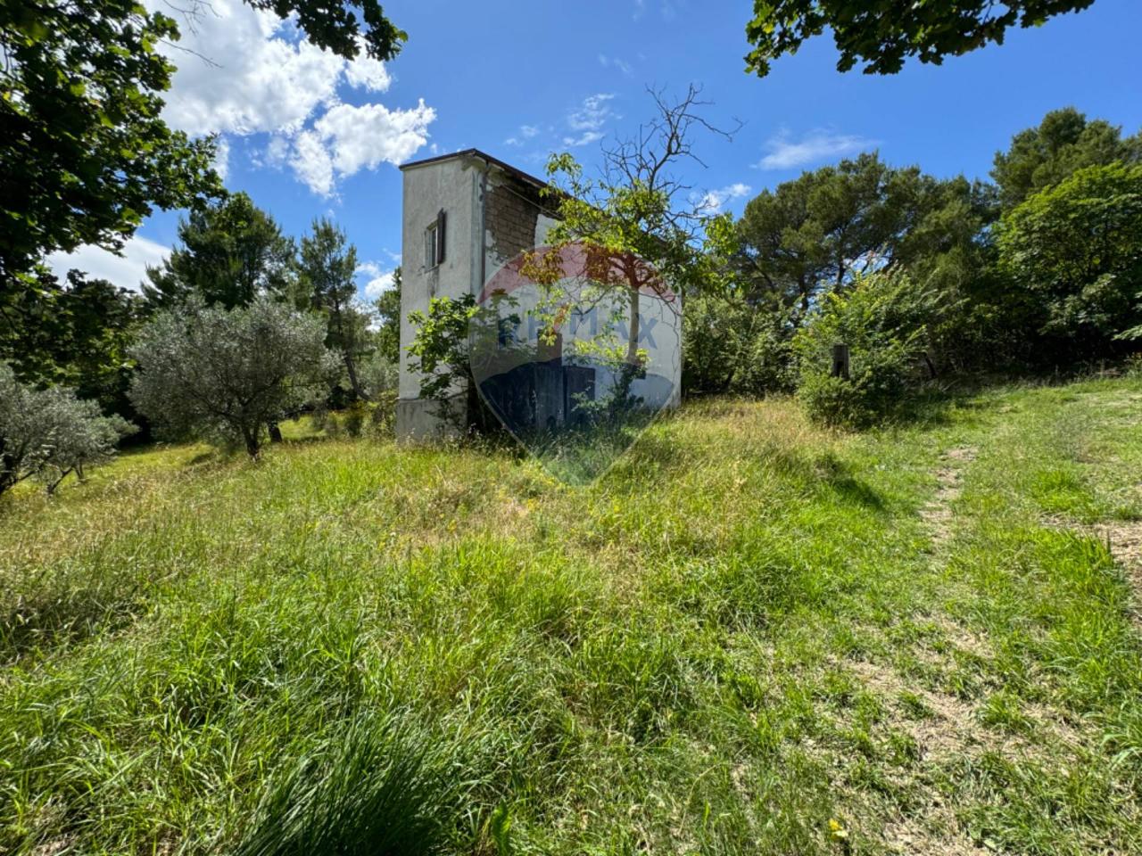 immagine annuncio 4 di 13