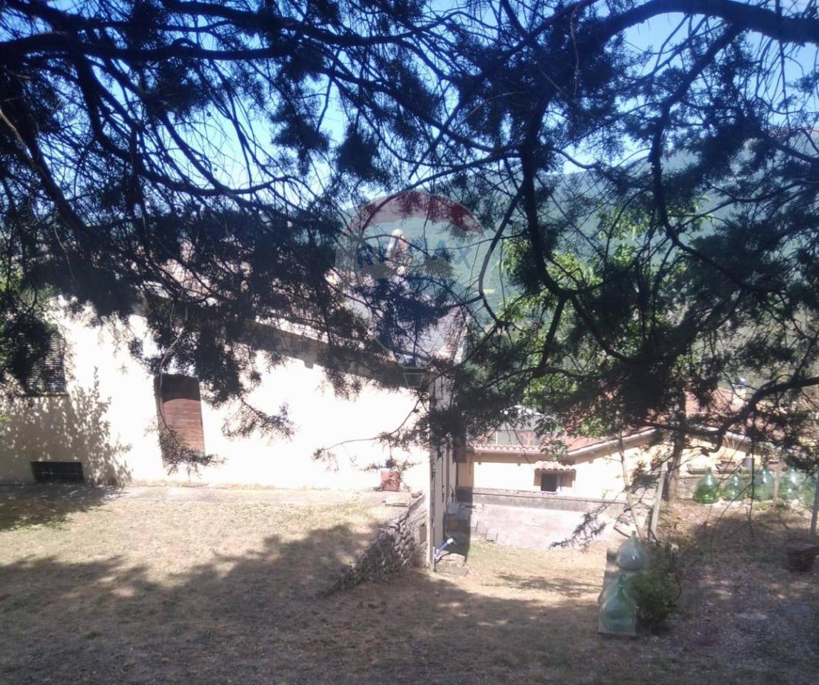 immagine annuncio 4 di 8