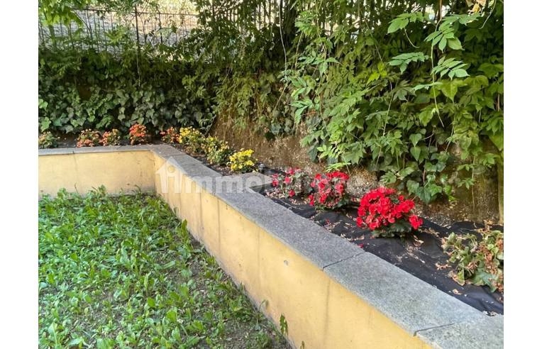 immagine annuncio 4 di 8