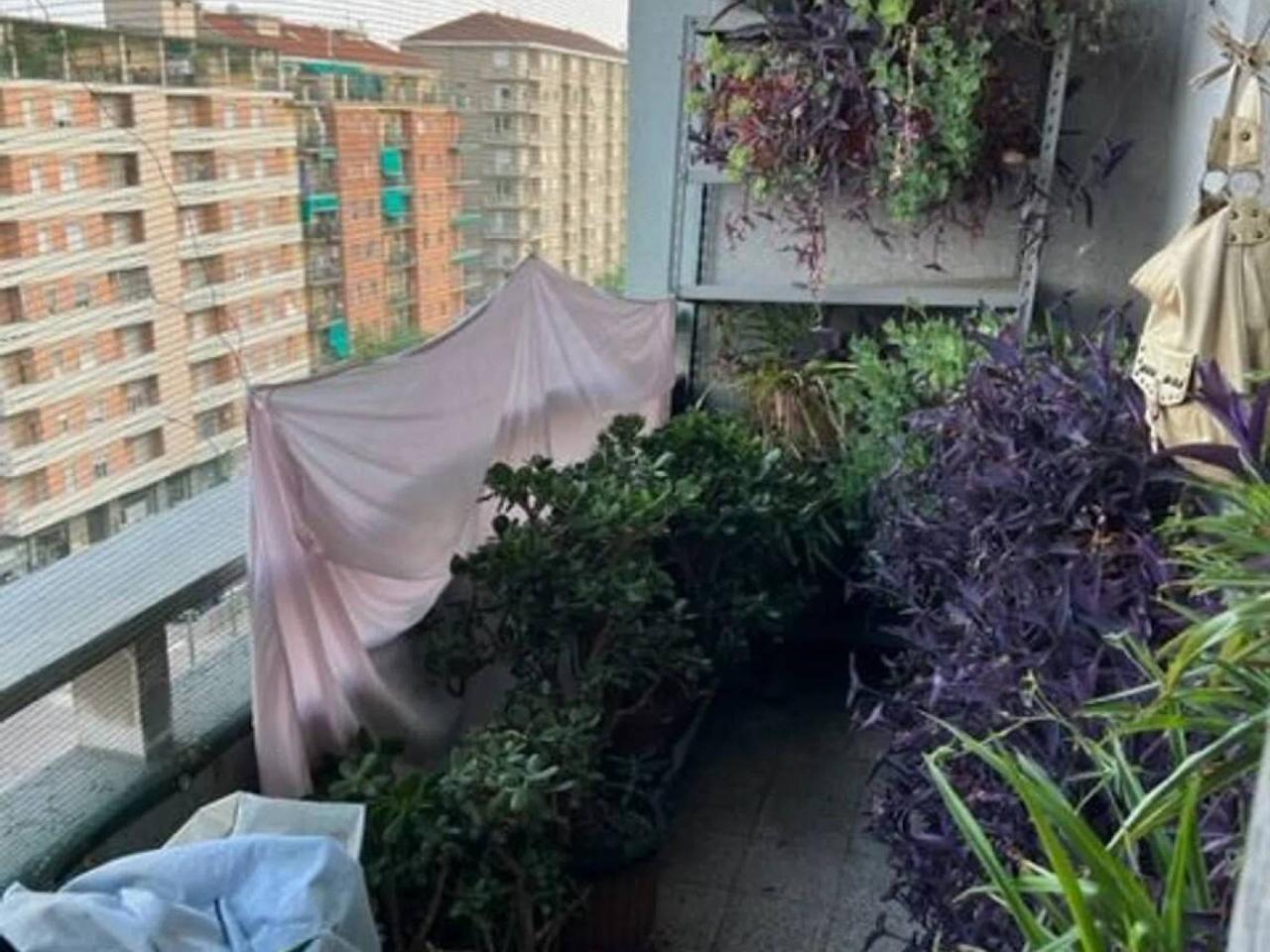 immagine annuncio 8 di 11
