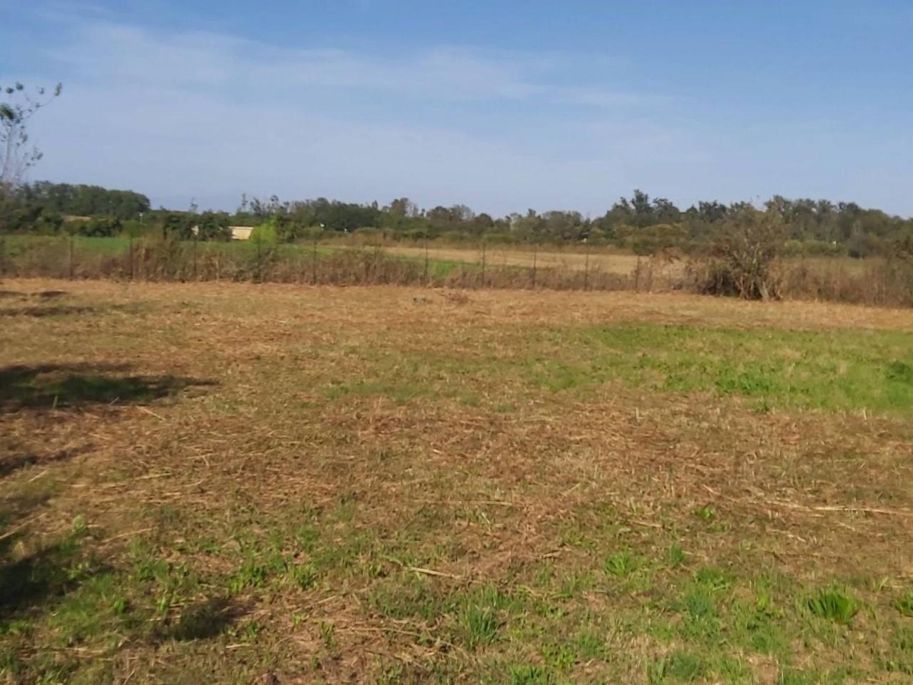 Terreno agricolo in vendita a Leini'