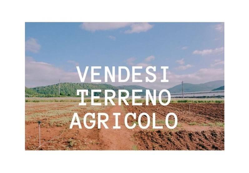 Terreno agricolo in vendita a Carmagnola