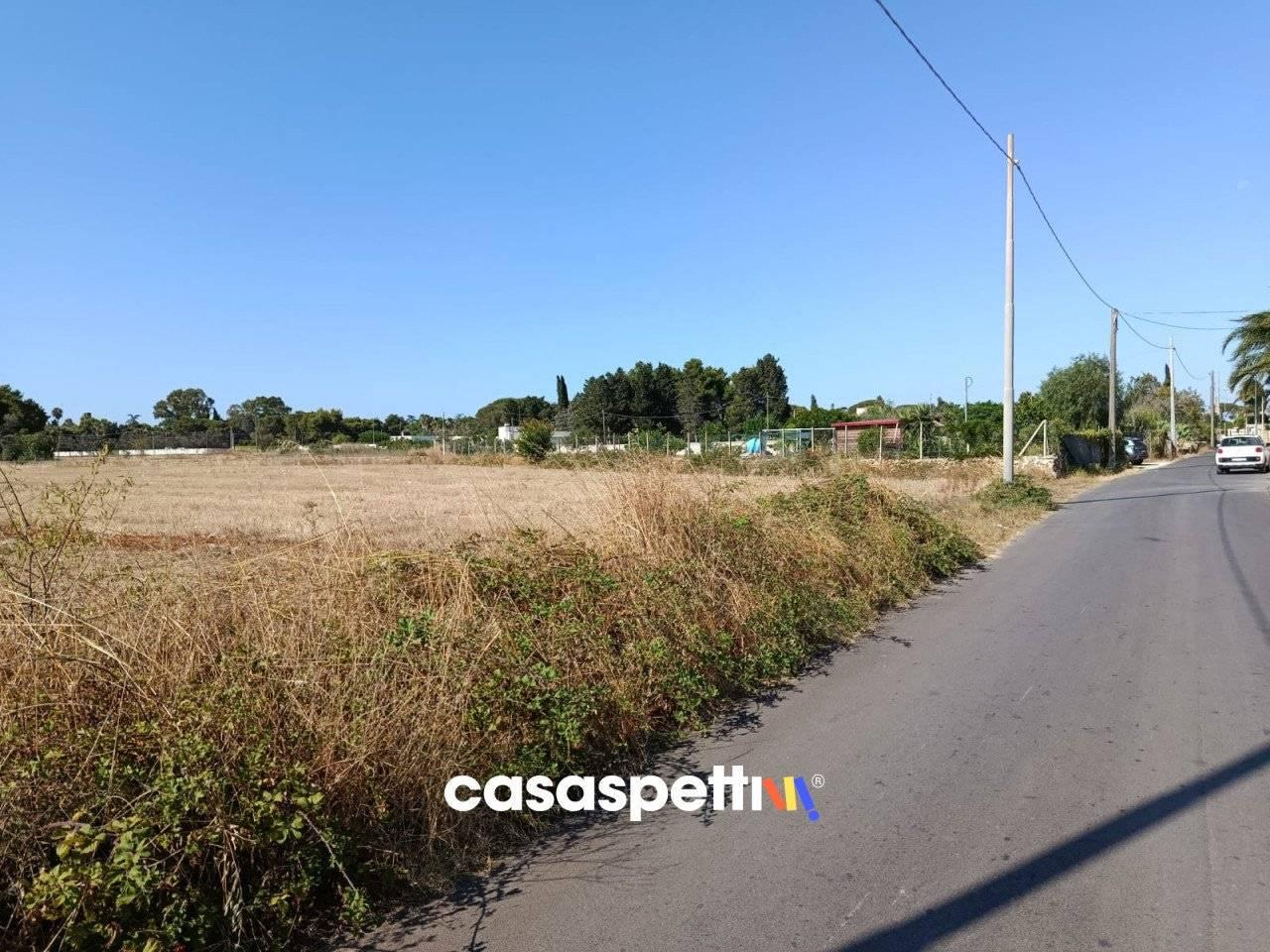 immagine annuncio 3 di 9