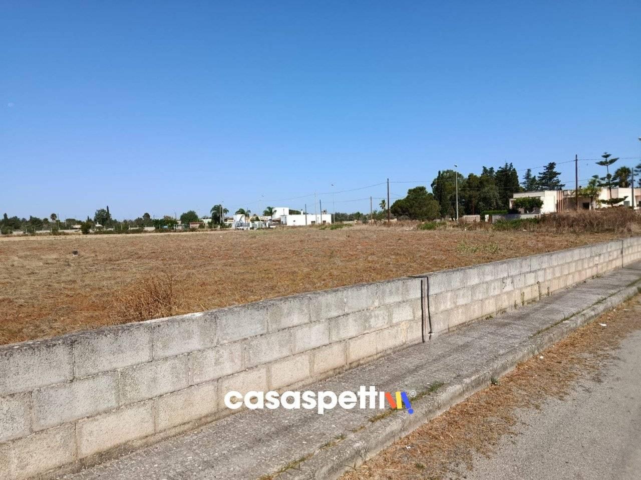 immagine annuncio 5 di 9