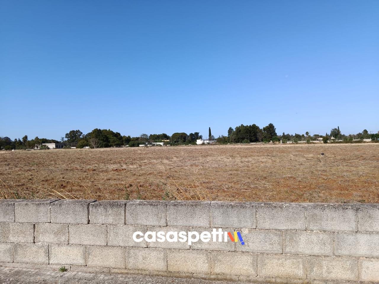 immagine annuncio 4 di 9