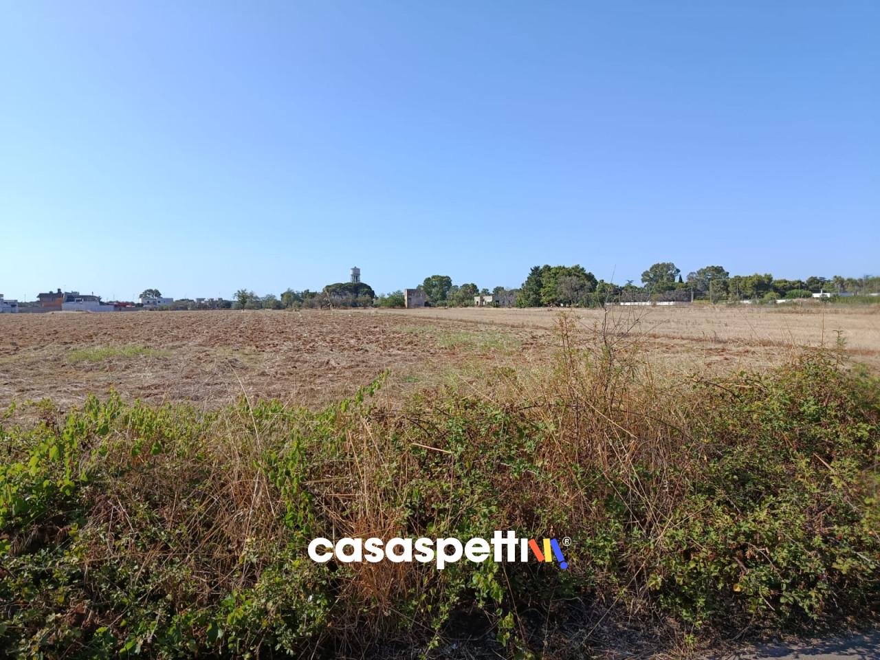 immagine annuncio 1 di 9
