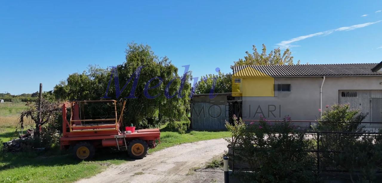 immagine annuncio 5 di 11