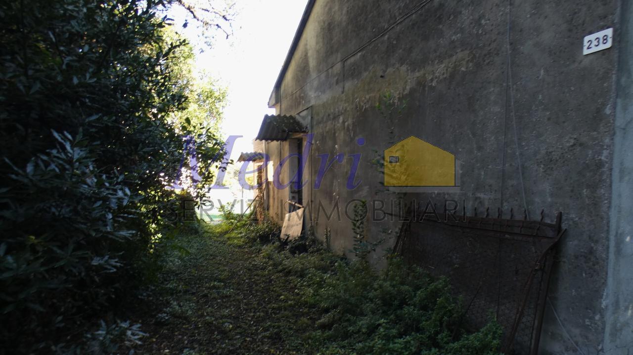 immagine annuncio 5 di 12