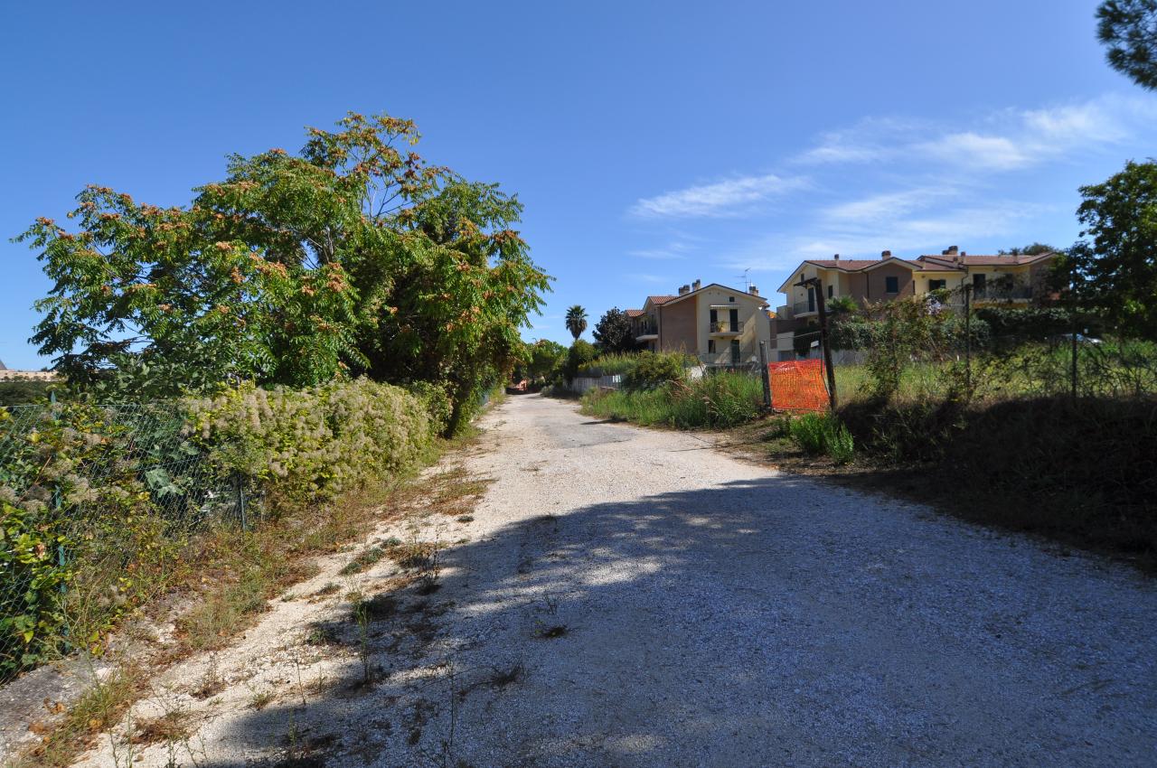 immagine annuncio 1 di 2