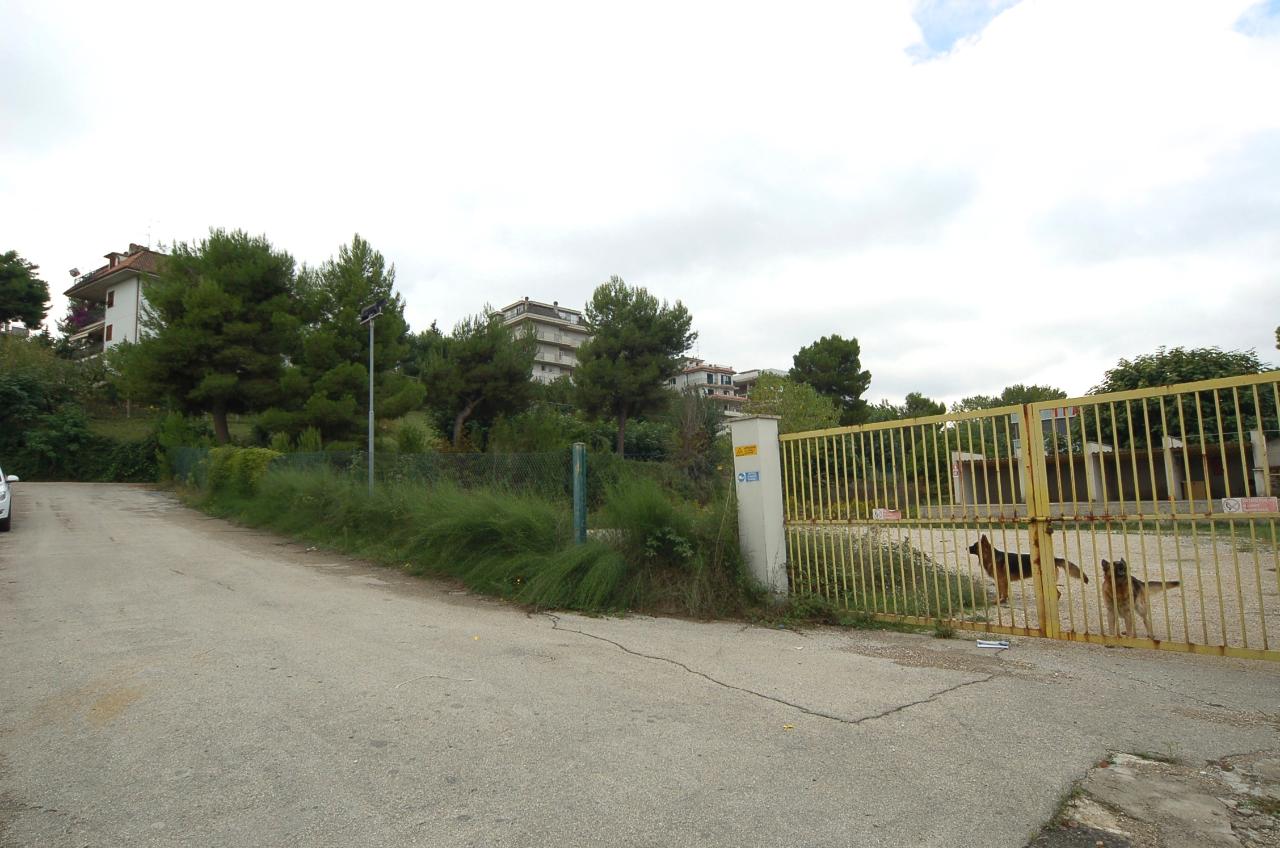 immagine annuncio 3 di 6