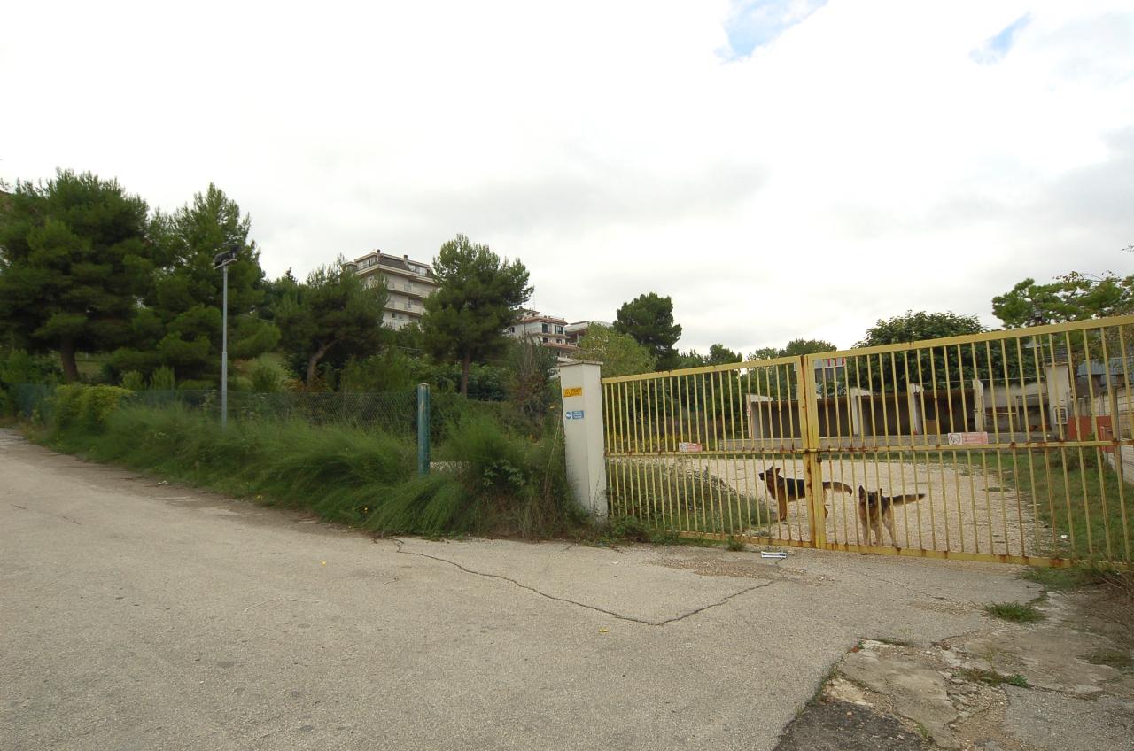 immagine annuncio 4 di 6