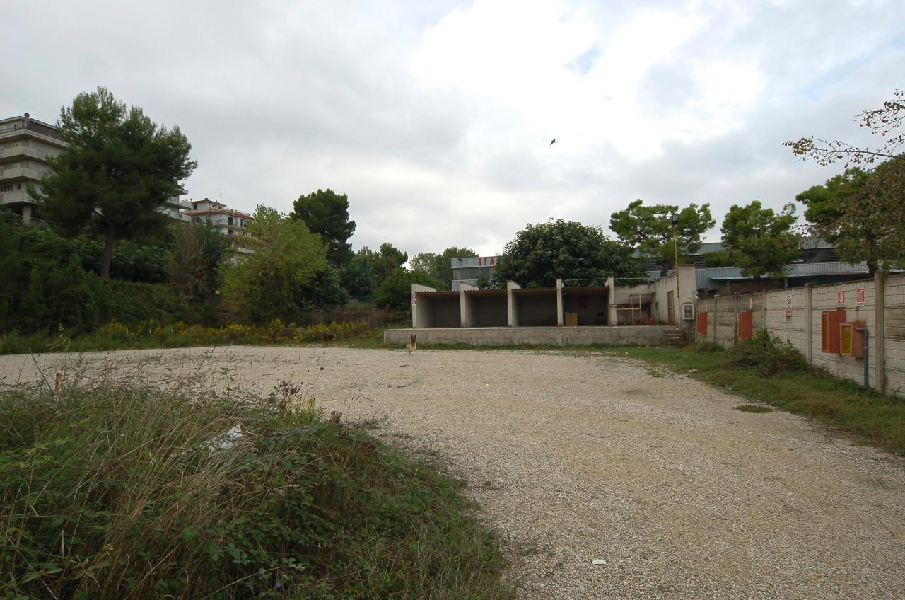 immagine annuncio 5 di 6