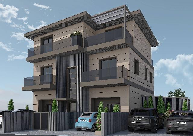 insertion image