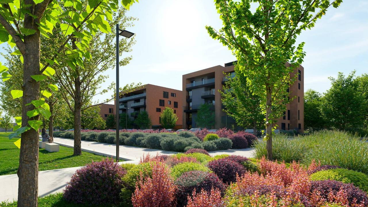 immagine annuncio 11 di 15