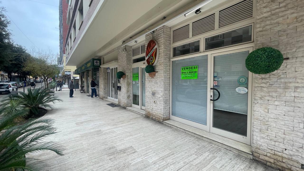 Esercizio commerciale in Viale De Gasperi 29, San Benedetto Del Tronto, {3} - Foto 1
