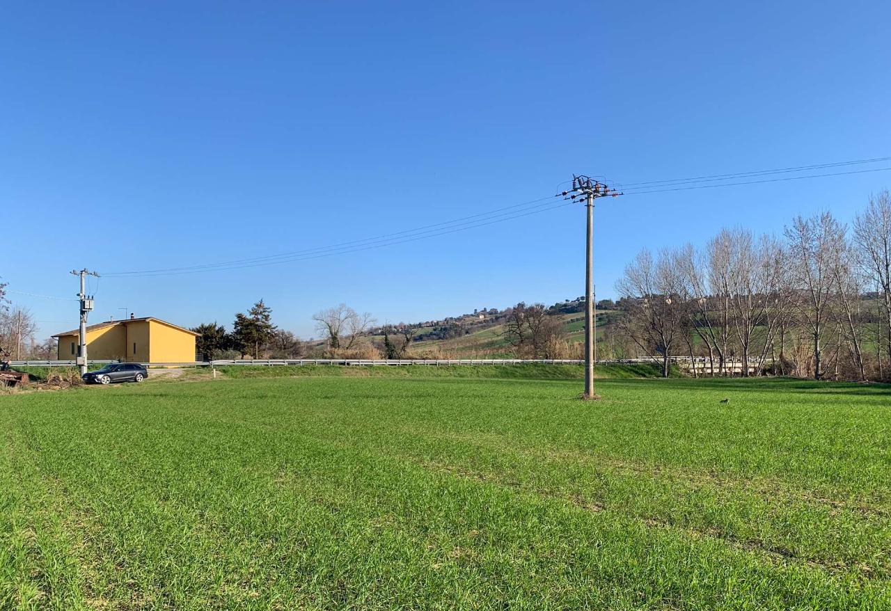 immagine annuncio 3 di 9