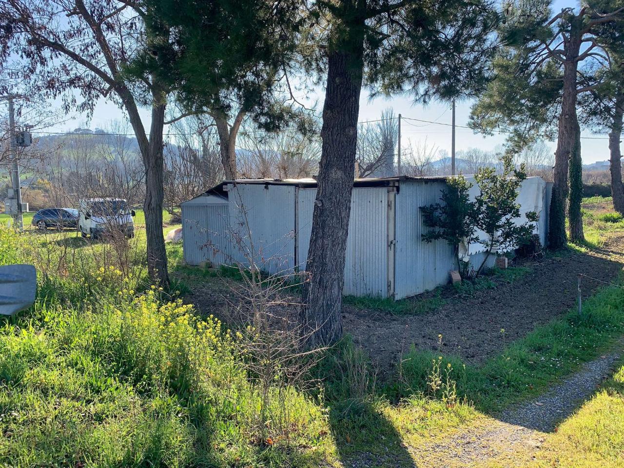 immagine annuncio 7 di 9