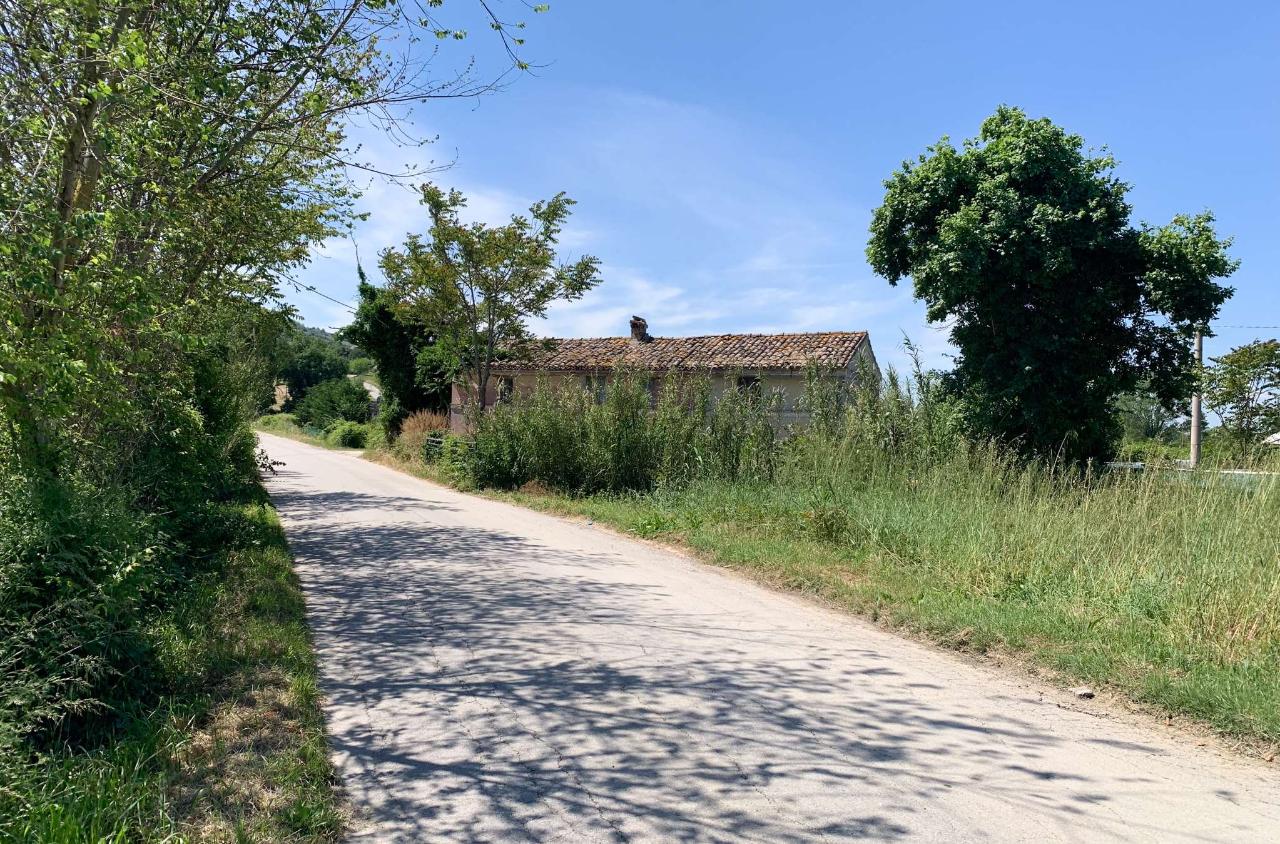 immagine annuncio 13 di 14
