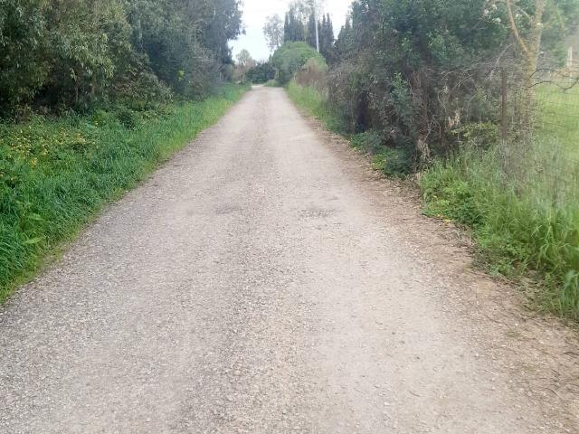 Building land in {3}, Strada Vicinale Tanca Farrà - Photo 1