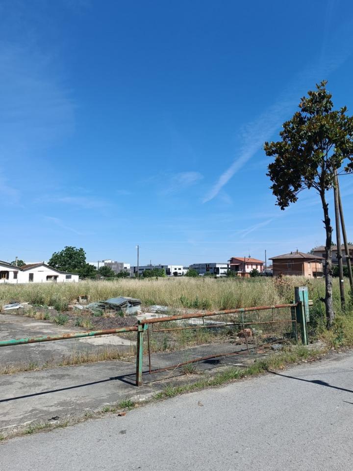 immagine annuncio 2 di 4