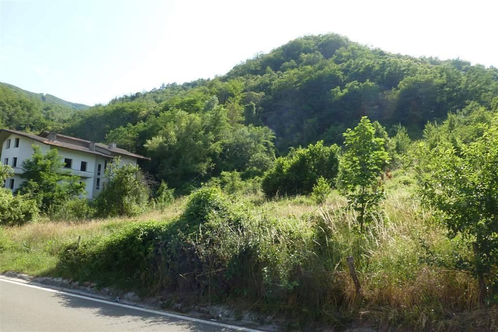 Terreno edificabile in vendita a Castiglione Dei Pepoli