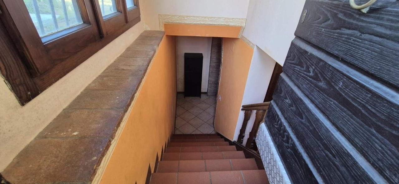 immagine annuncio 9 di 14