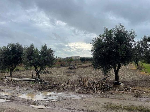 Agricultural land in Via Incaldana Belvedere, Mondragone - Photo 1