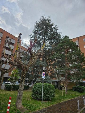 3-room flat in {3}, Piazza 4 Novembre - Photo 1