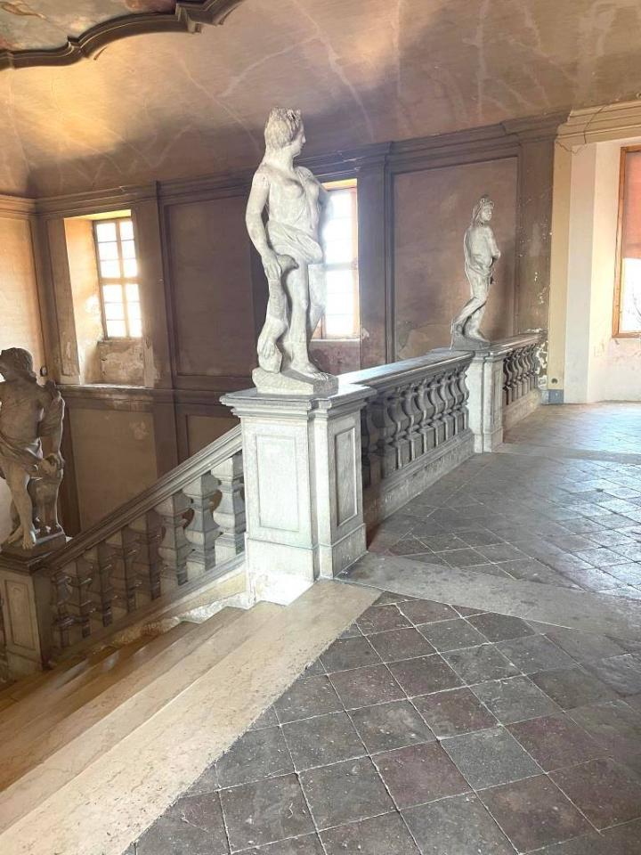 immagine annuncio 5 di 10