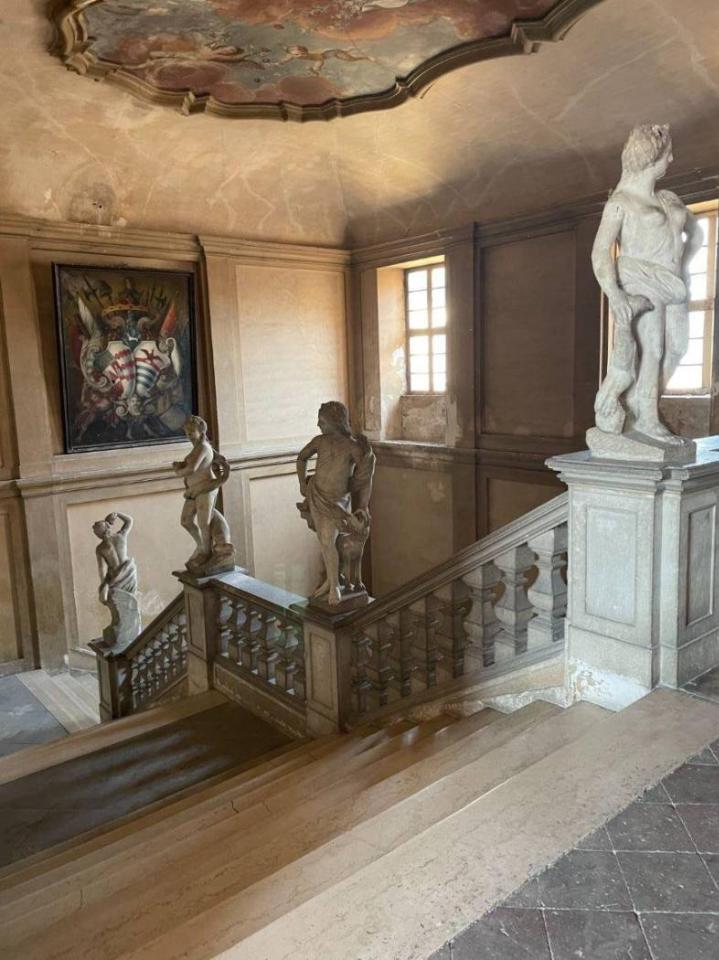 immagine annuncio 6 di 10