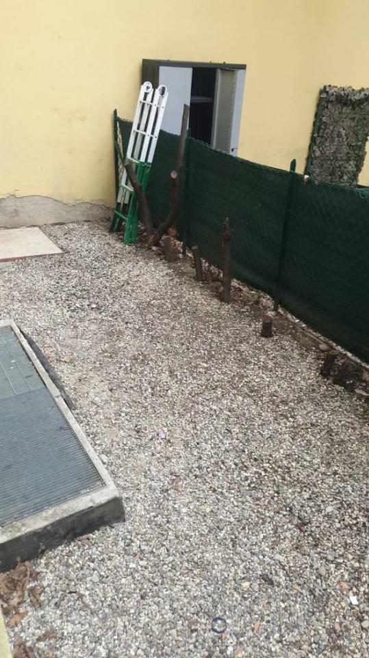 immagine annuncio 1 di 8