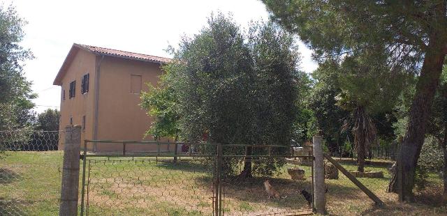 Country house or cottage in Strada Vicinale della Peschiera, Manciano - Photo 1