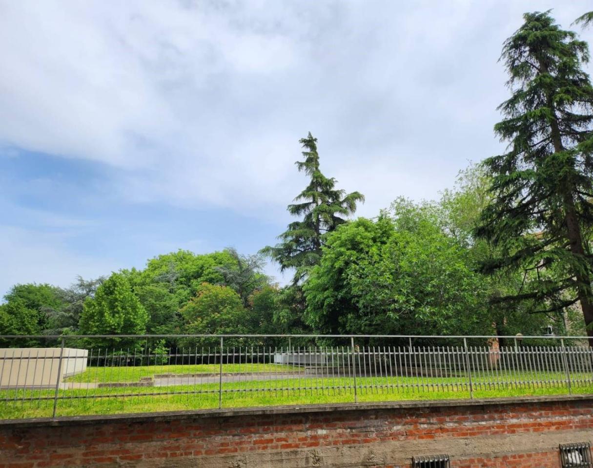 immagine annuncio 8 di 9