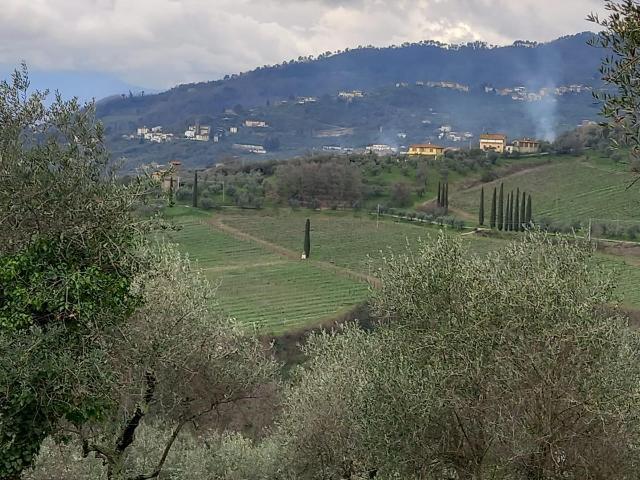 Casa indipendente in , Capannori - Foto 1