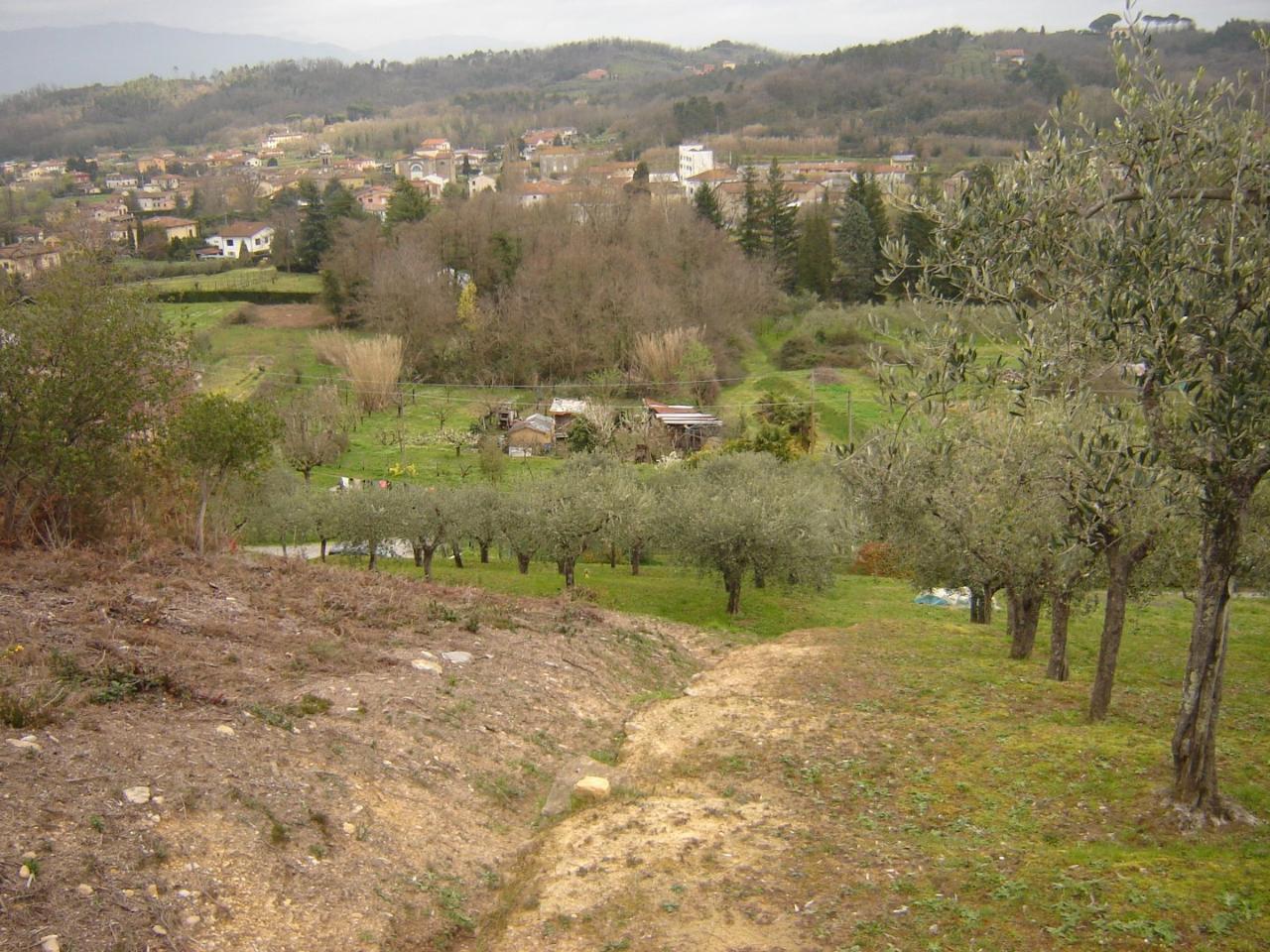 Terreno agricolo in vendita a Capannori
