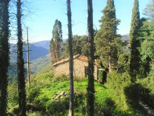 Country house or cottage, Lucca - Photo 1