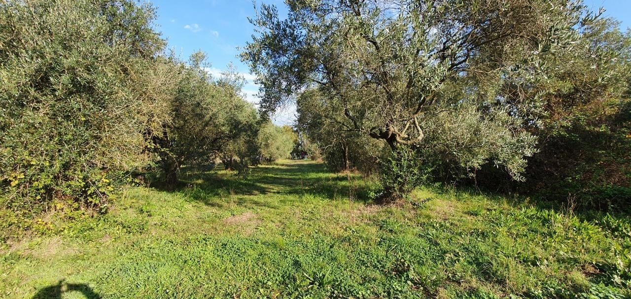 Magazzino in Vicinale Livornese 194, Fucecchio, {3} - Foto 2