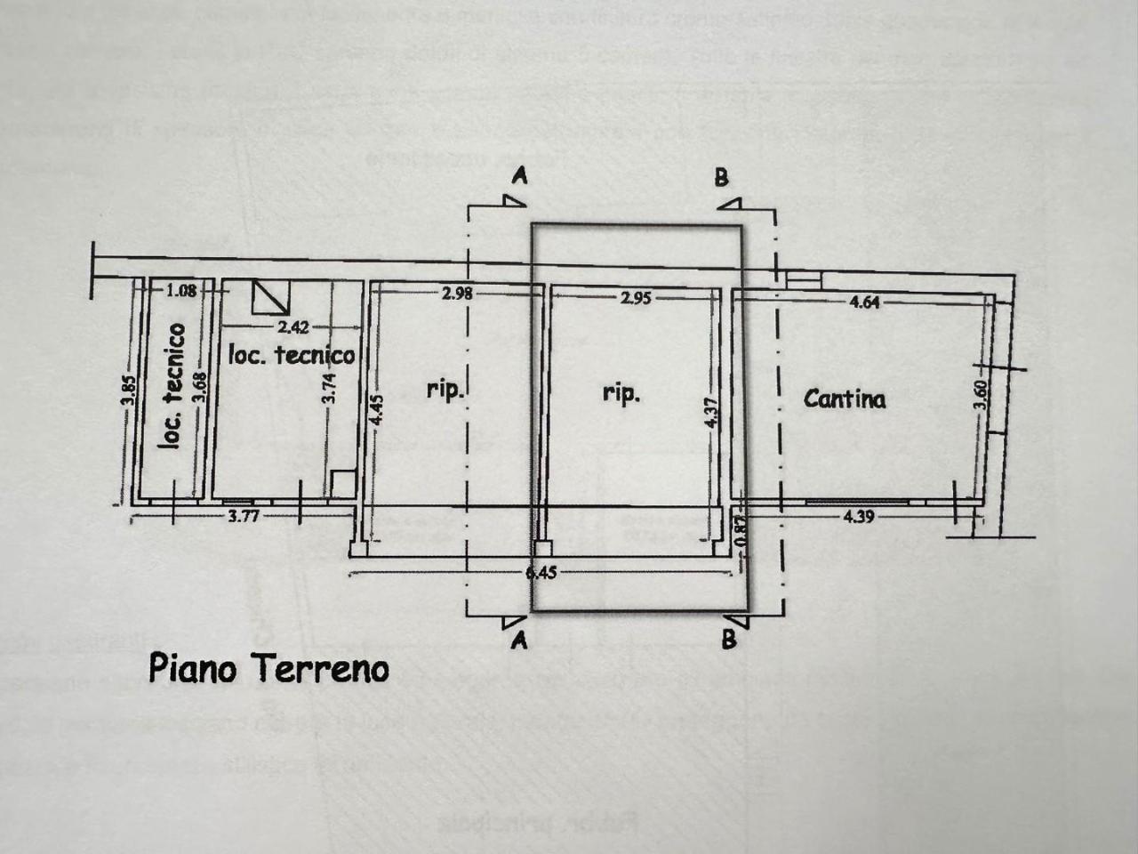 immagine annuncio 10 di 11