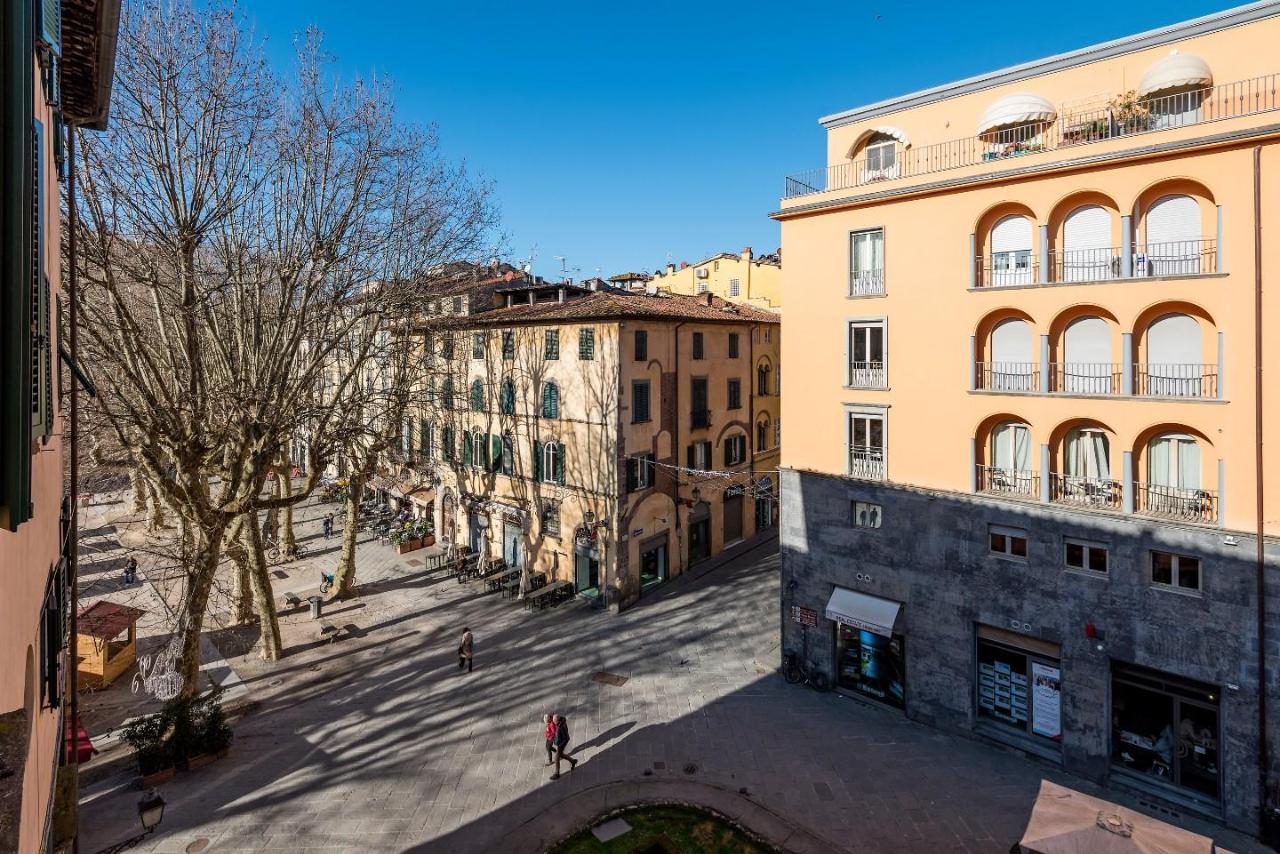 immagine annuncio 13 di 14