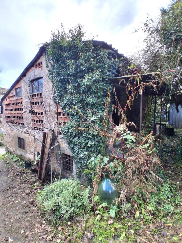 immagine annuncio 4 di 6