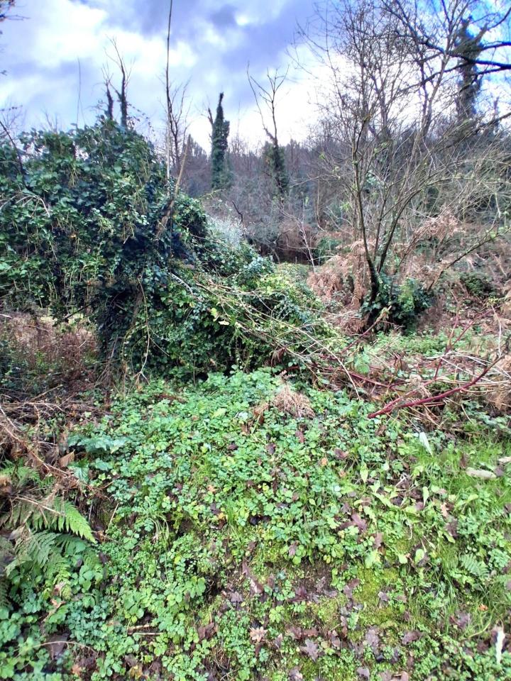 immagine annuncio 1 di 6