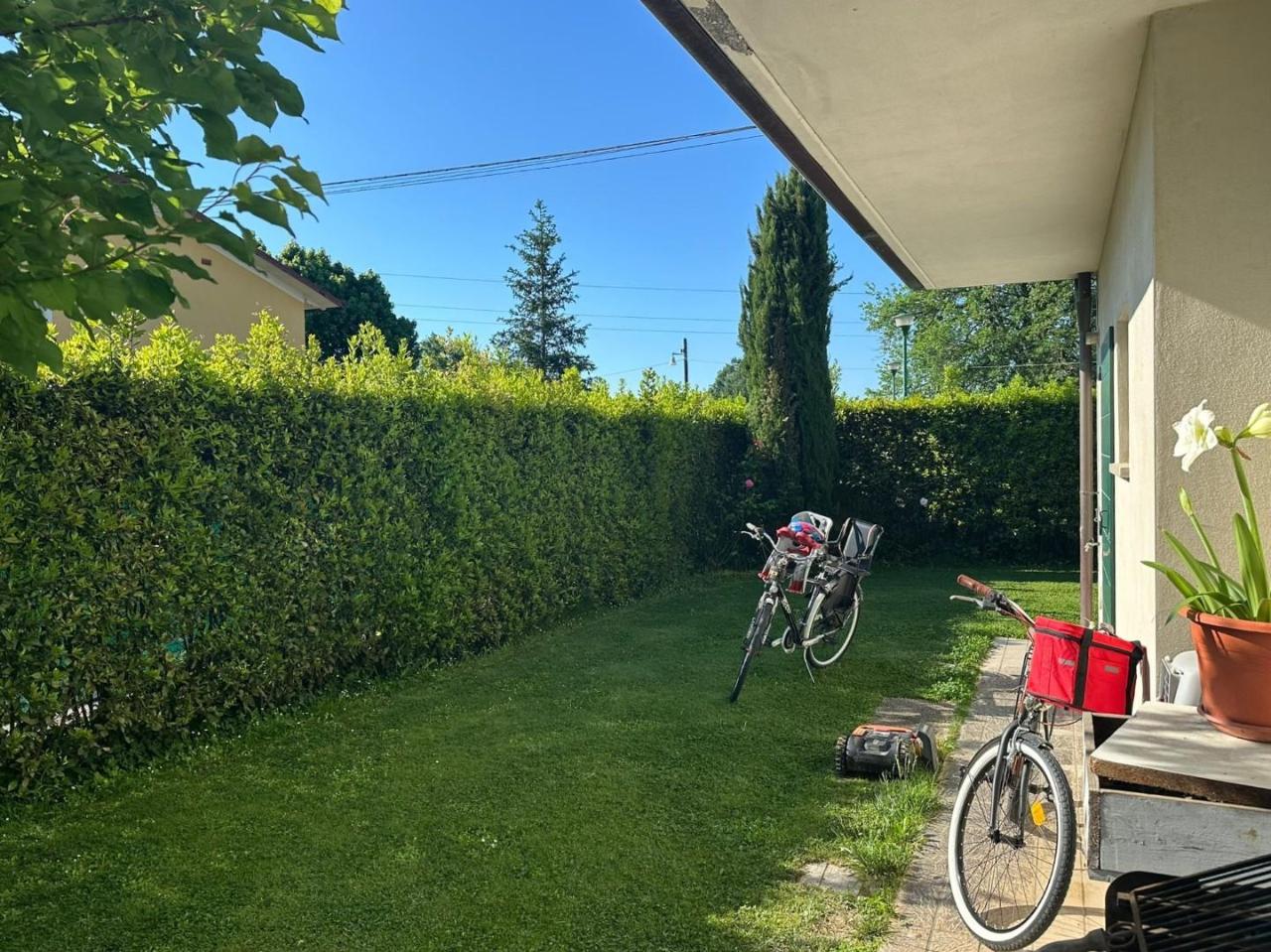immagine annuncio 5 di 15