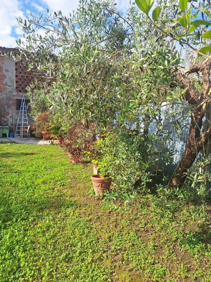 immagine annuncio 5 di 8