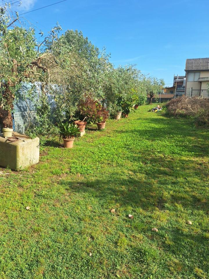immagine annuncio 1 di 8