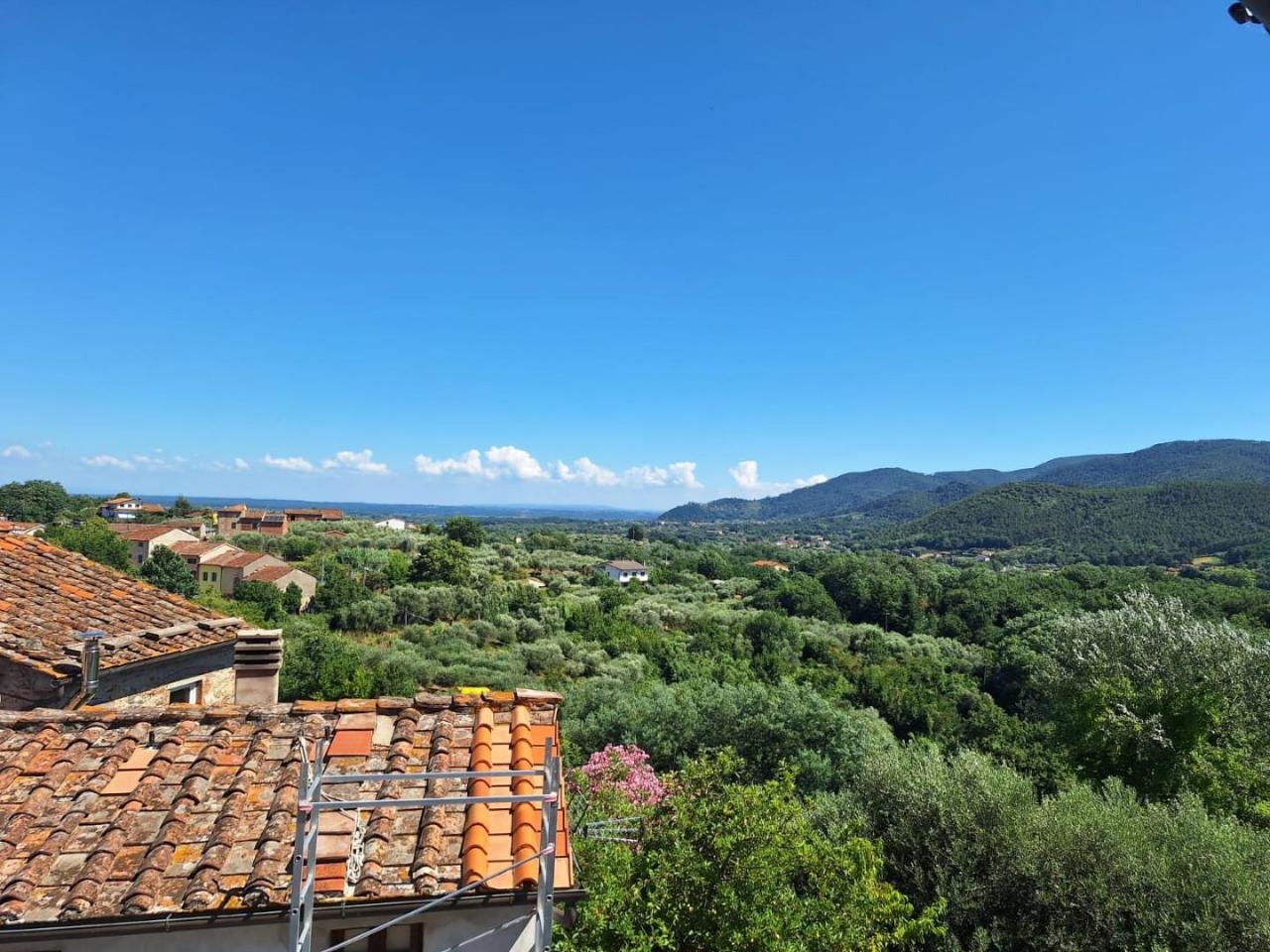 immagine annuncio 13 di 14