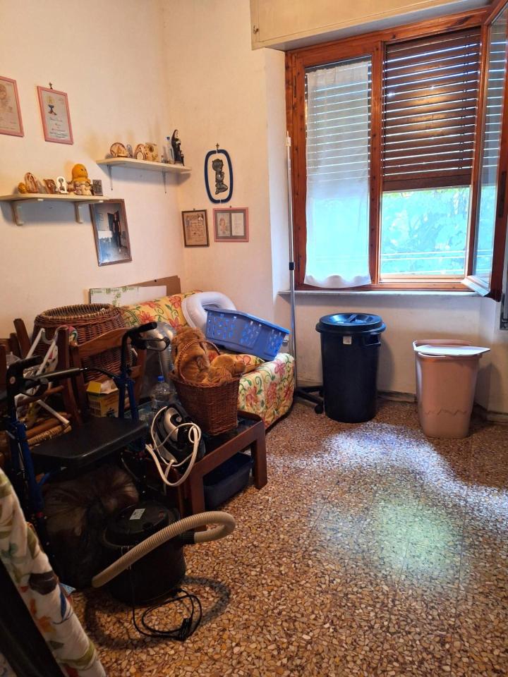 immagine annuncio 5 di 12